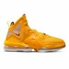 Nike LEBRON 19