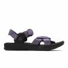 Nike Sandals ACG AIR DESCHUTZ +
