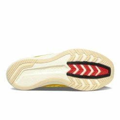 Saucony X DTM ENDORPHIN PRO DSM