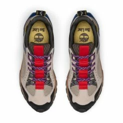 Timberland Sneakers X BEE LINE WOMEN'S SOLAR RIDGE GTX